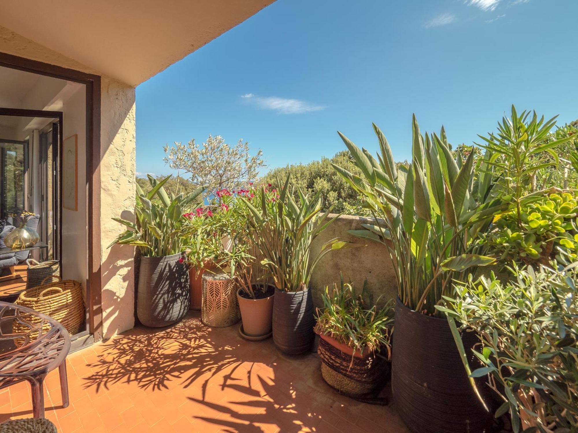 Residence Les Sources Brando Buitenkant foto